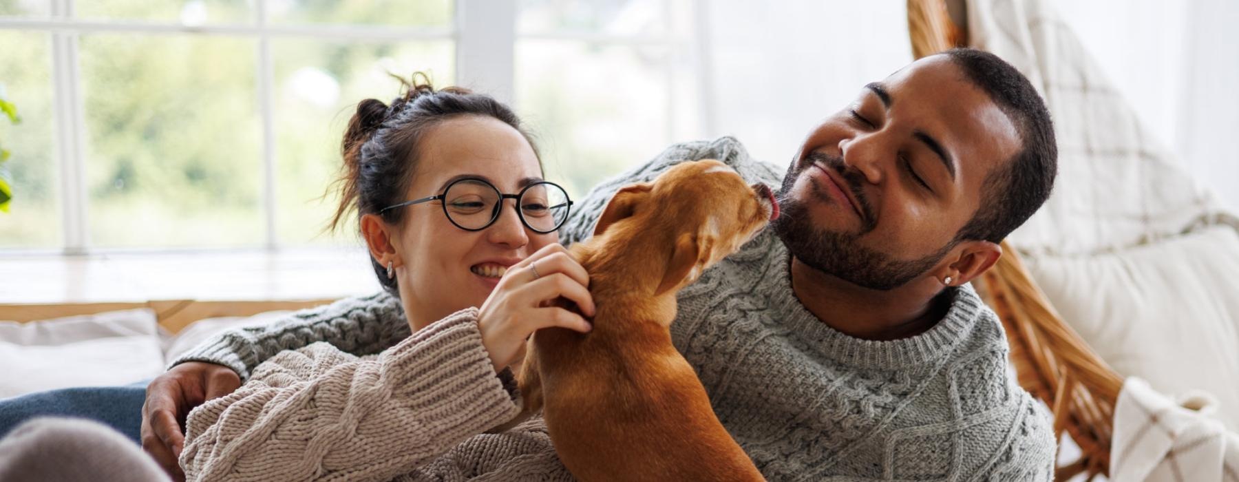 a man and woman lying on a bed with a dog